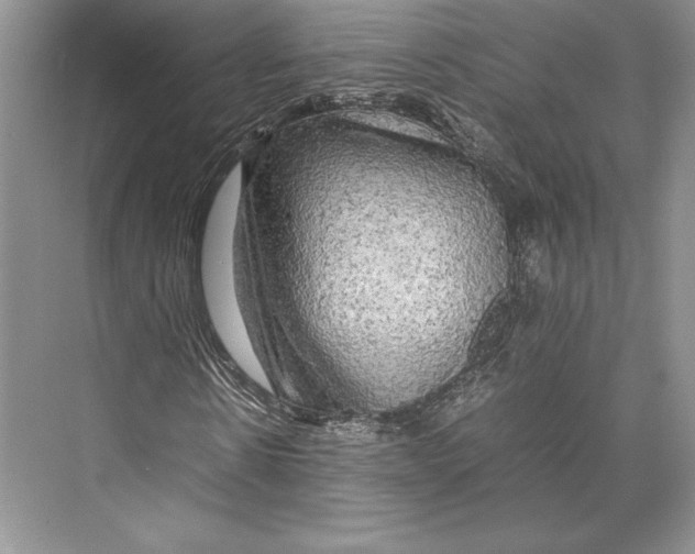 X0000072520914200608111716