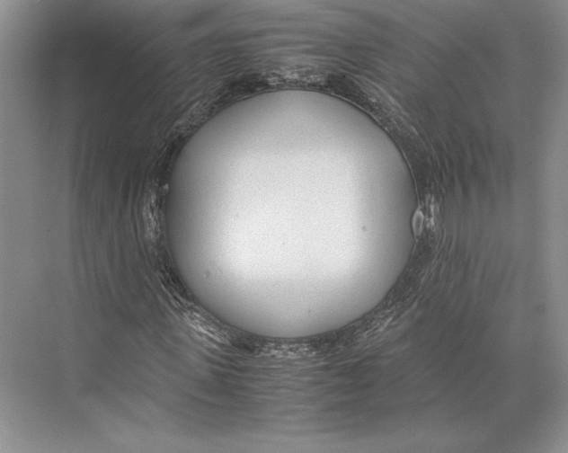 X0000072520915200608111716