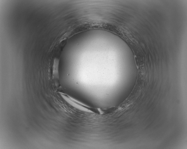 X0000072520916200608111716