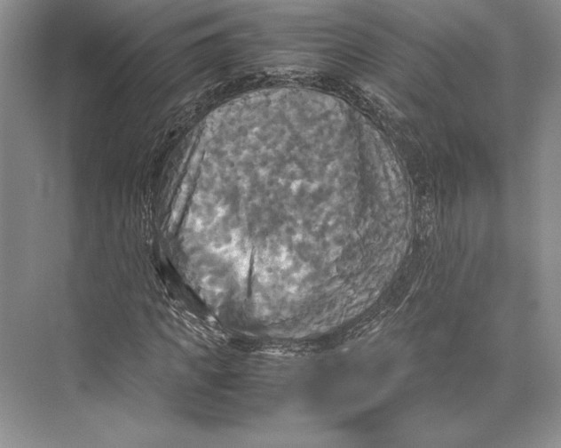 X0000072520917200608111716