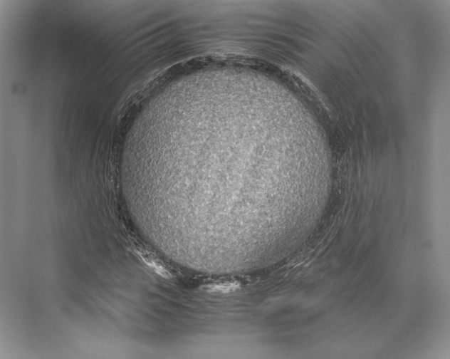 X0000072520919200608111716