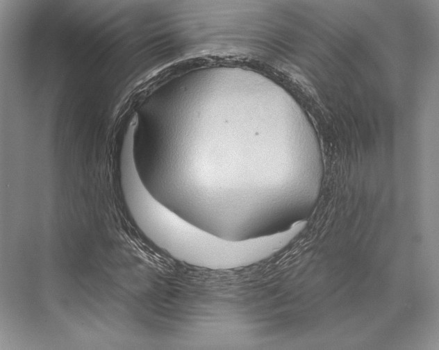 X0000072520920200608111716