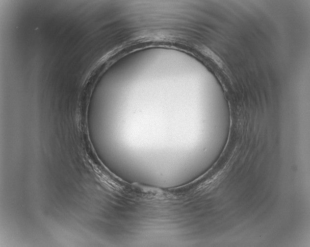 X0000072520922200608111716