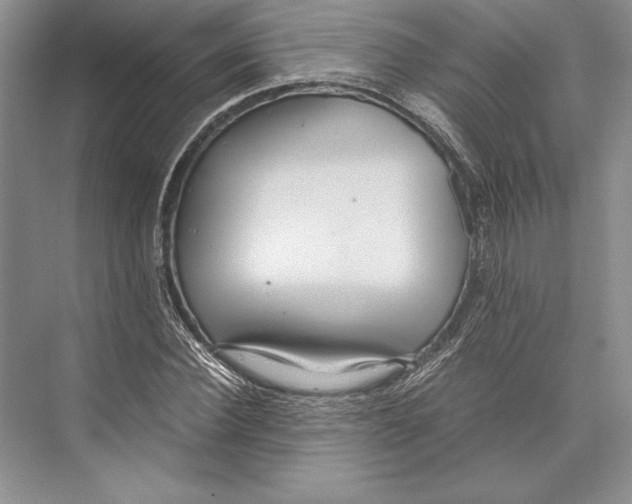 X0000072520924200608111716