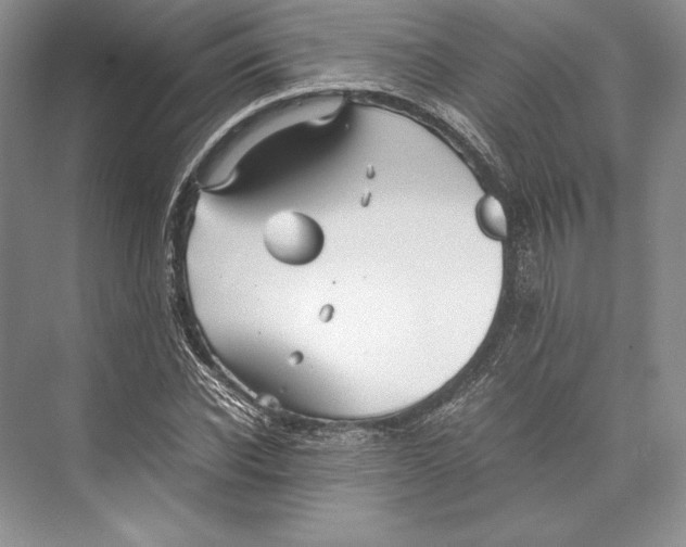 X0000072520926200608111716