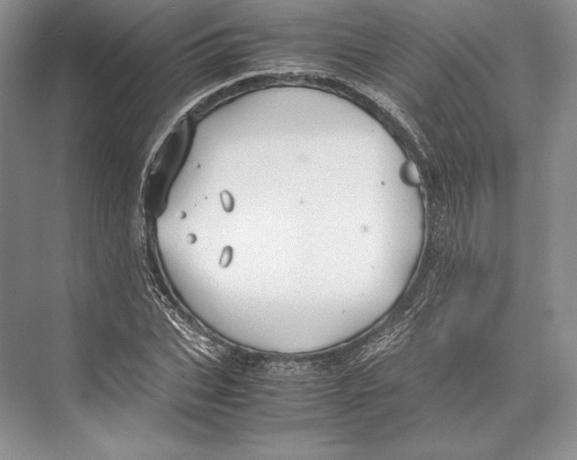 X0000072520927200608111716