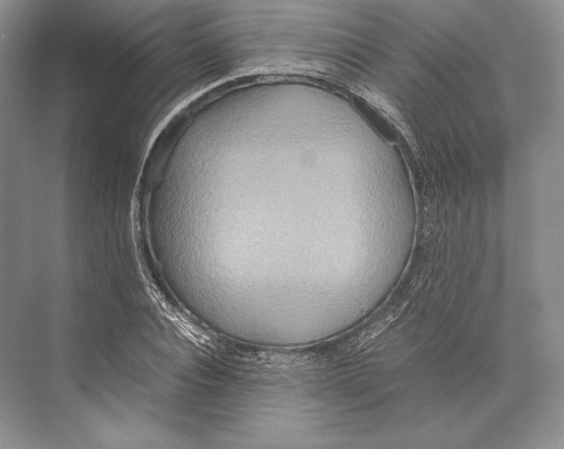 X0000072520928200608111716