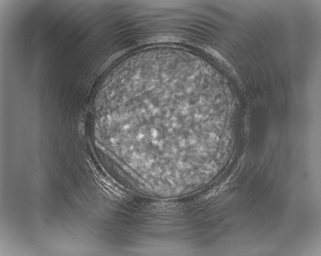 X0000072520929200608111716