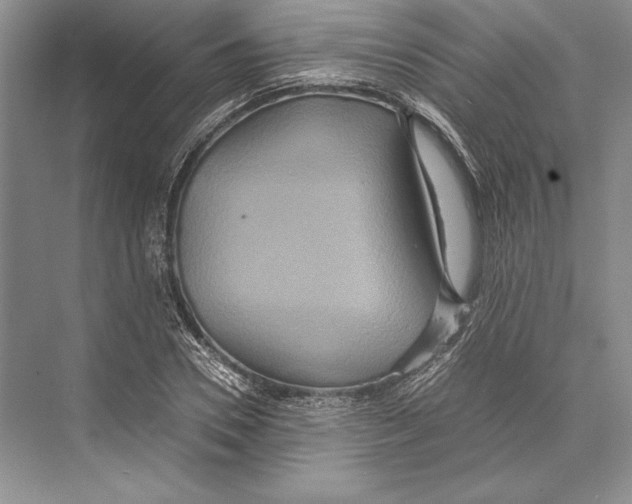 X0000072520930200608111716