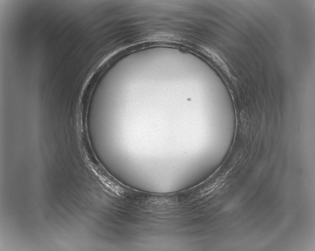 X0000072520931200608111716