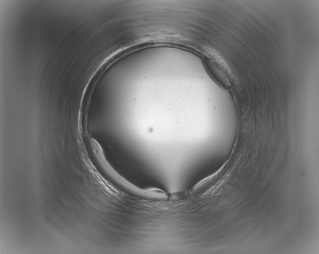 X0000072520932200608111716