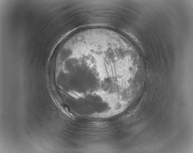 X0000072520933200608111716