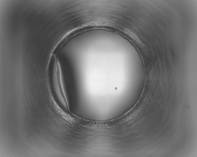 X0000072520934200608111716