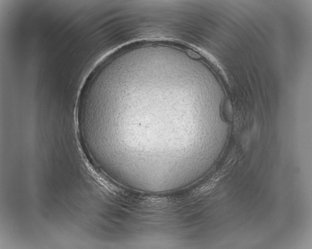 X0000072520935200608111716