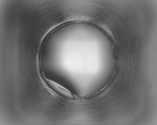 X0000072520936200608111716