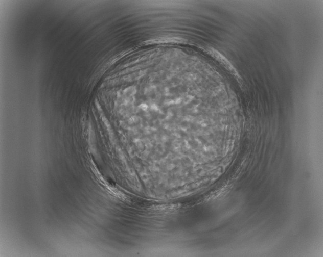 X0000072520937200608111716