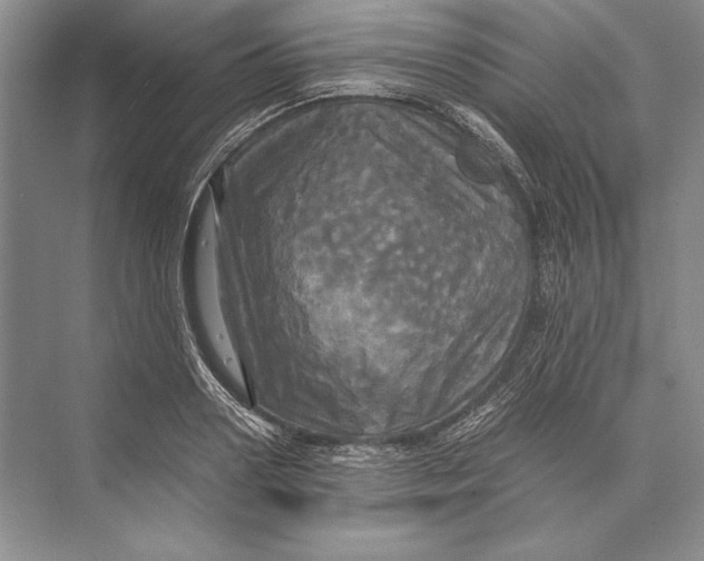 X0000072520938200608111716