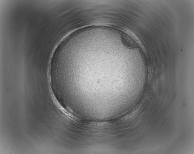 X0000072520939200608111716