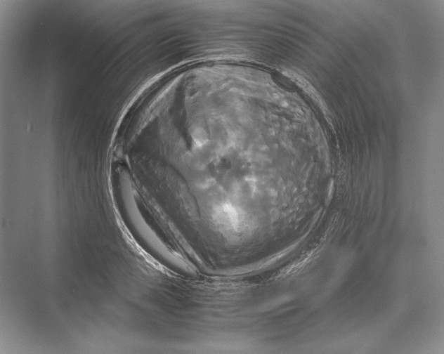 X0000072520941200608111716