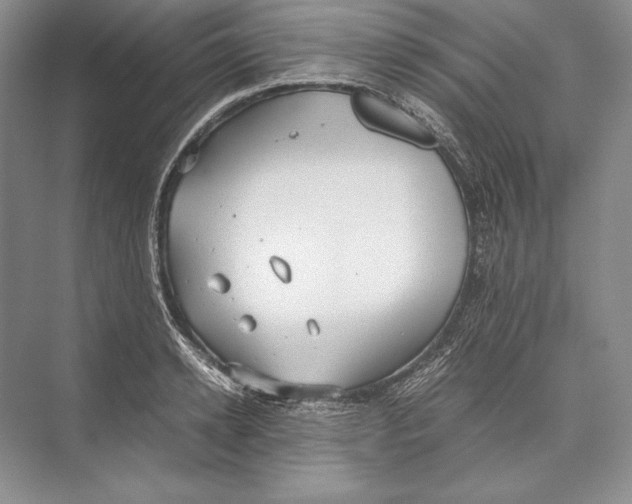 X0000072520942200608111716