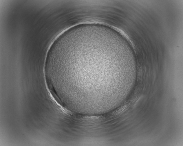 X0000072520943200608111716