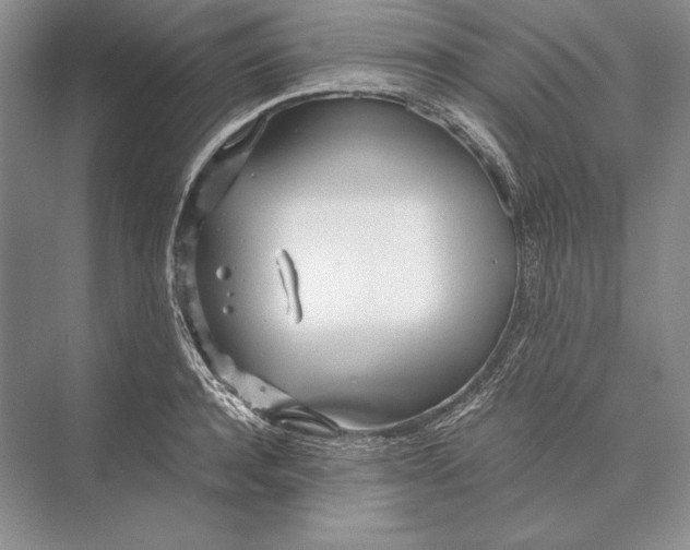 X0000072520944200608111716