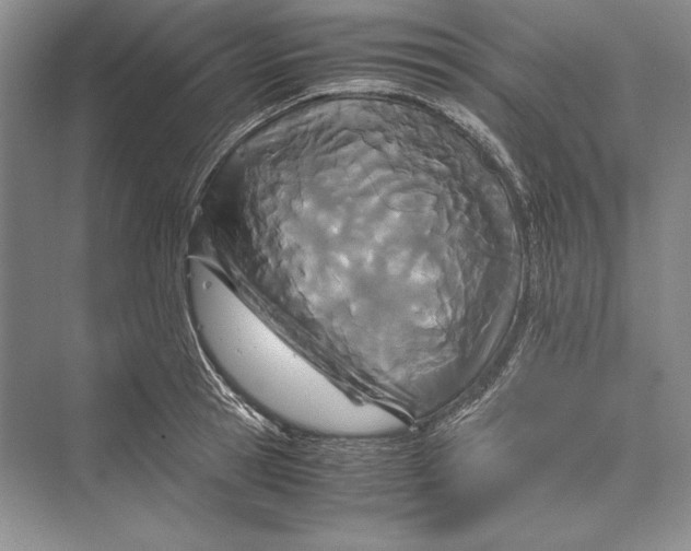 X0000072520945200608111716