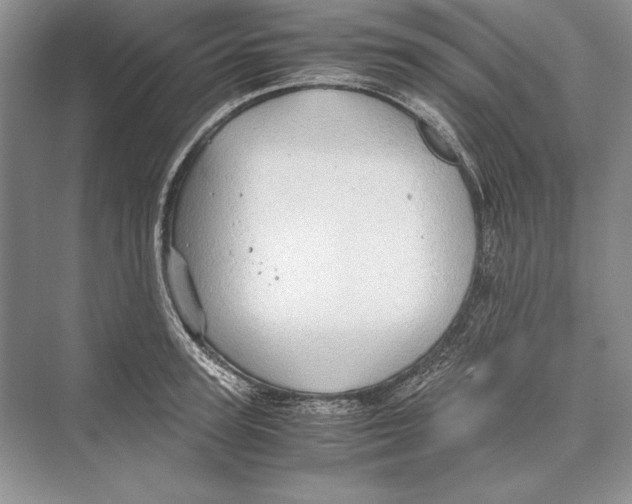 X0000072520947200608111716