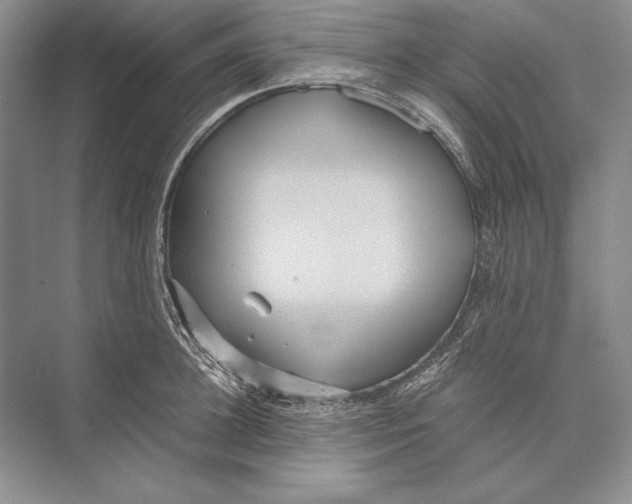 X0000072520948200608111716