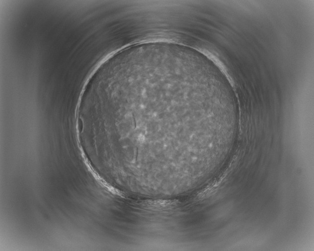 X0000072520949200608111717