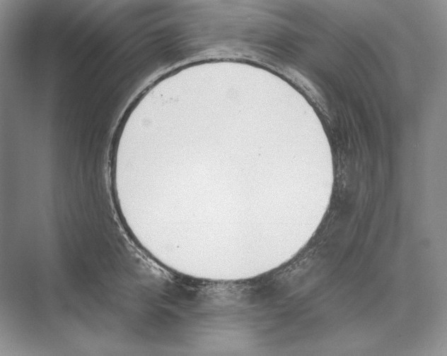 X0000072520950200608111717