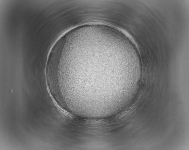 X0000072520951200608111717