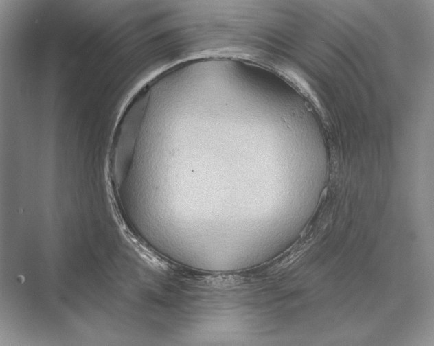 X0000072520952200608111717