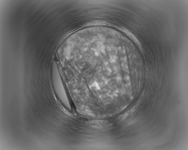 X0000072520953200608111717