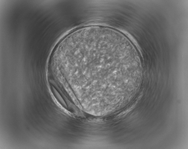 X0000072520957200608111717