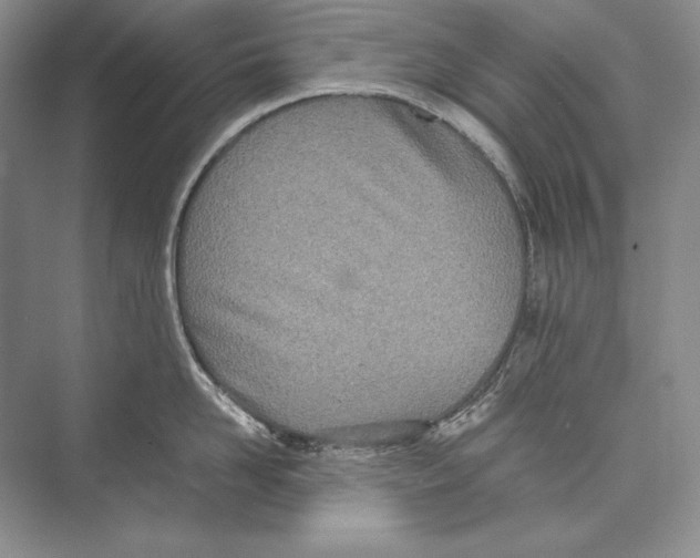 X0000072520958200608111717