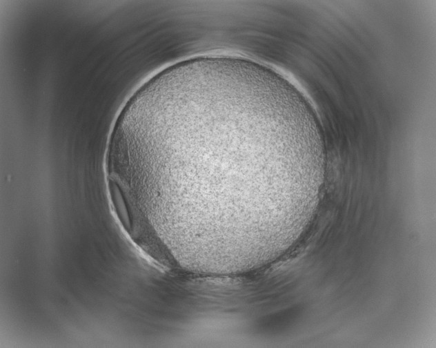 X0000072520959200608111717