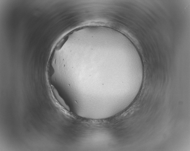 X0000072520960200608111717