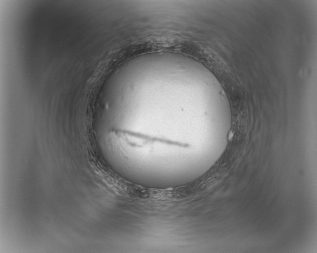 X0000072520961200608111716