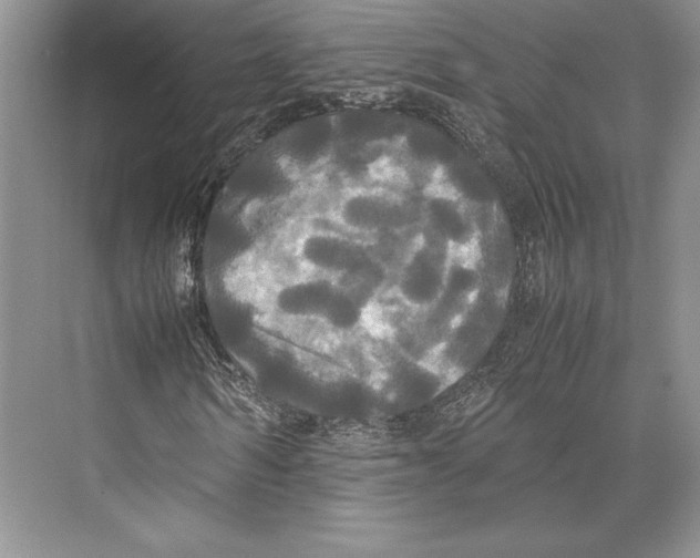 X0000072520962200608111716