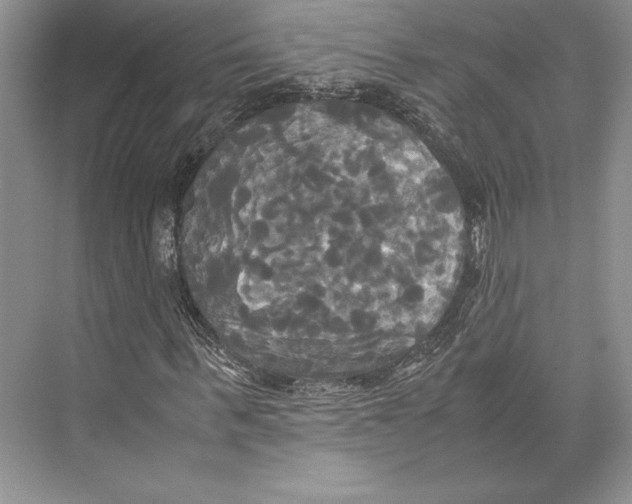 X0000072520963200608111716