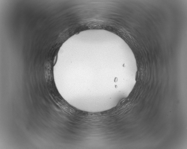 X0000072520964200608111716