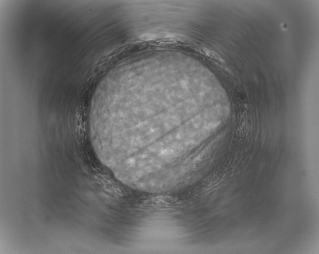 X0000072520966200608111716