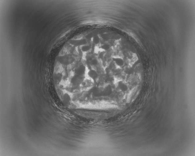 X0000072520967200608111716