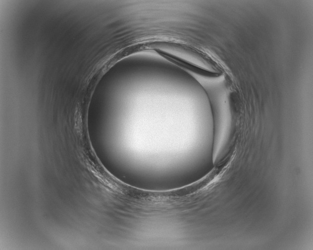 X0000072520969200608111716