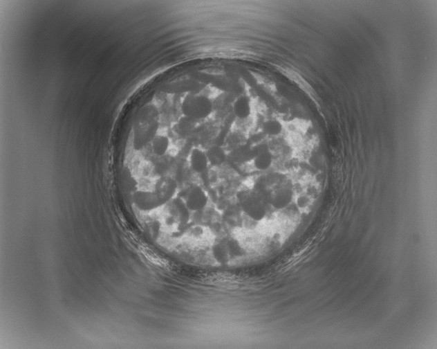 X0000072520971200608111716