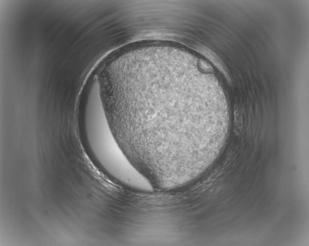 X0000072520972200608111716