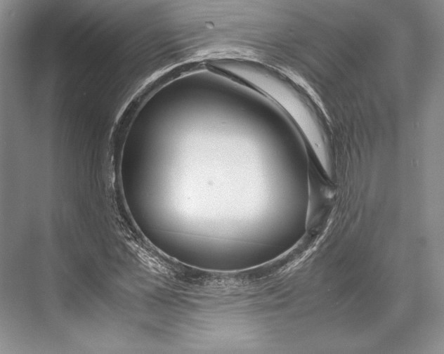 X0000072520973200608111716