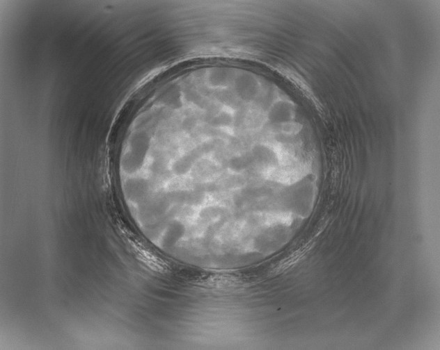 X0000072520974200608111716