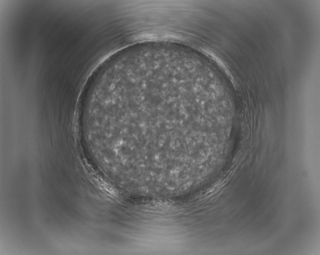 X0000072520975200608111716